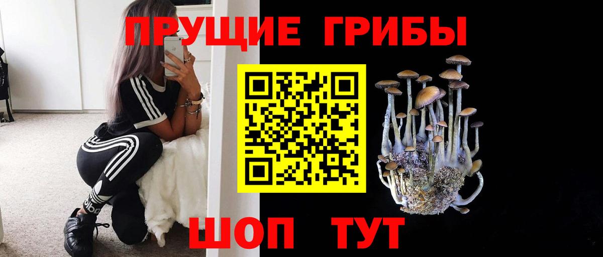 дарнет шоп  Галлюциногенные грибы мухоморы  Вход с VPN  Сегежа 